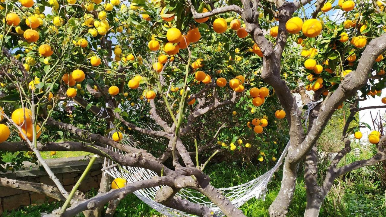 Pina * Lumbarda
