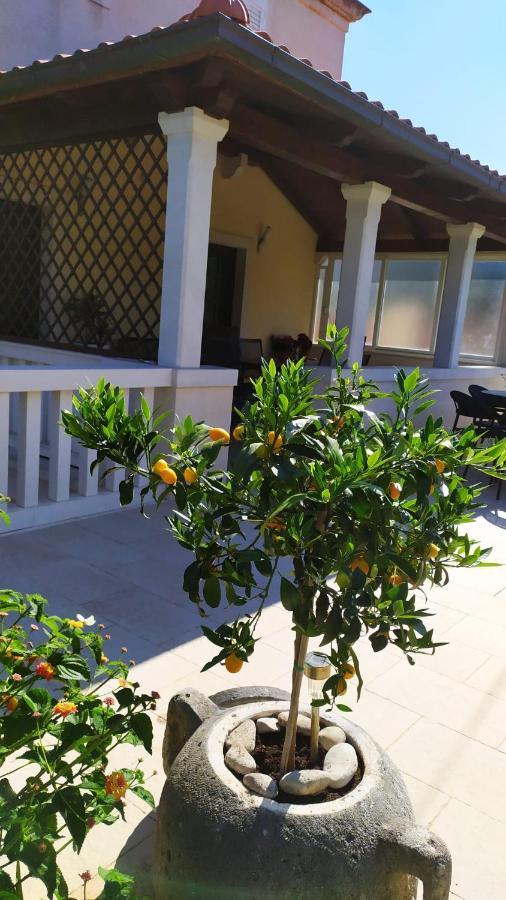 Villa Pina Lumbarda Apartment